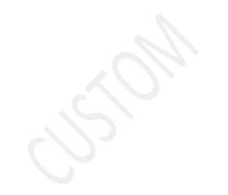 SpreadProcessing custom document